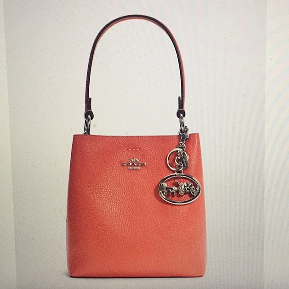 COACH - HORSE & CARRIAGE BAG CHARM/KEYCHAIN (NWT) - Picture 8 of 10